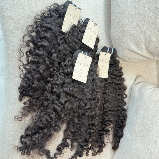 DD Burmese Curly